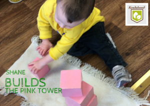 shane builds the pink tower