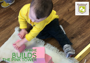 shane builds the pink tower